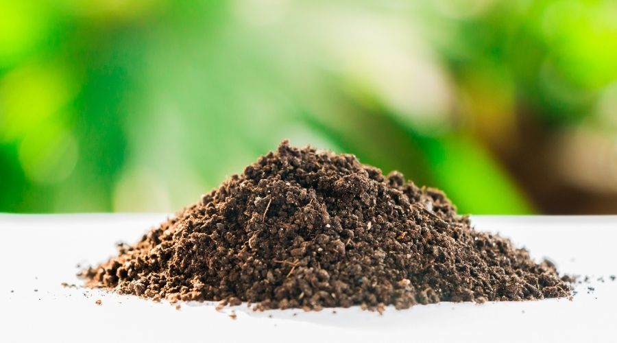 Groundbreaking Solutions Unveiling Topsoil Suppliers Near Me