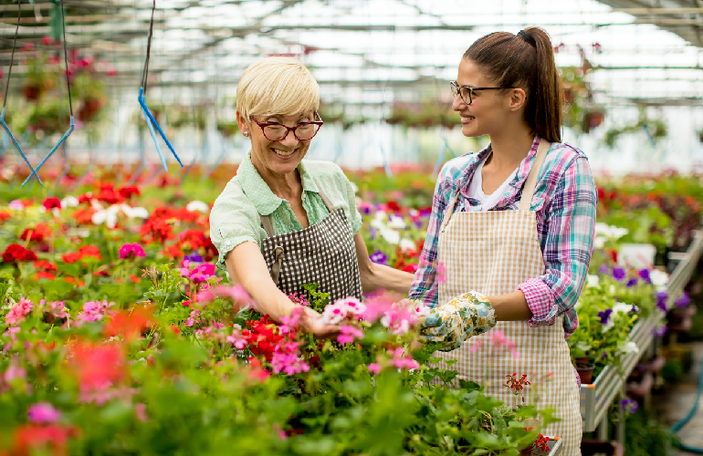 httpselements.envato.comsenior and young women working together in flower wnu9h4m