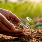 what is loam soil