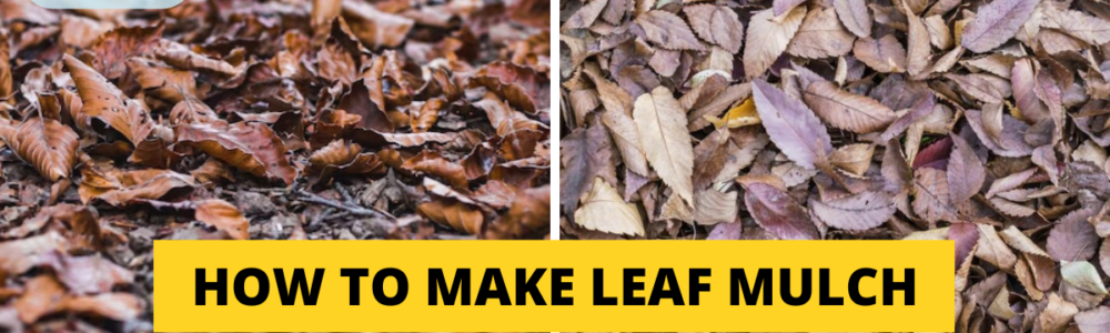 How to Make Leaf Mulch