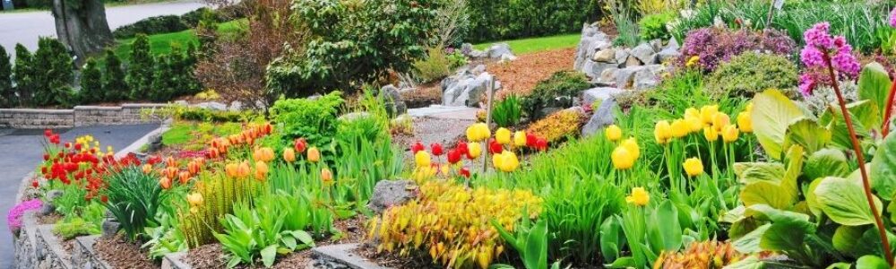 Landscaping Ideas