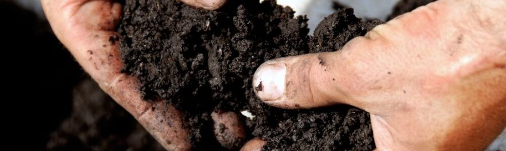 The Different Soil Types