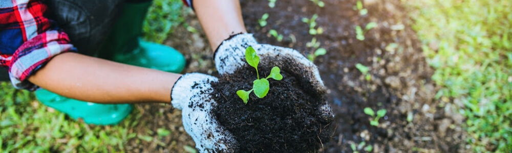 where to buy topsoil near me?