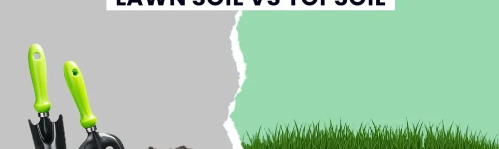 Lawn Soil vs Topsoil