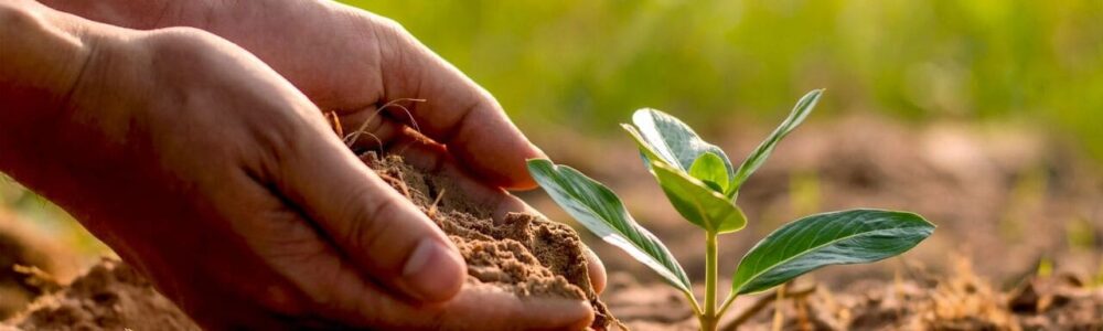 what is loam soil